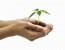 Evolution of Content Marketing [Infographic]