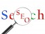SEO for Dummies