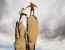 Marketing and Sales: Combine and Conquer