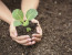 Content Marketing: Making The Most of Your Investment