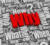 The Importance of Asking “Why” When Curating